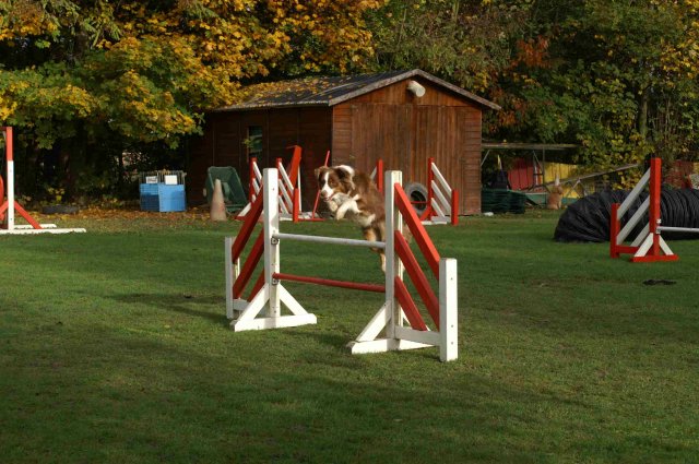 agility 2011-10-30